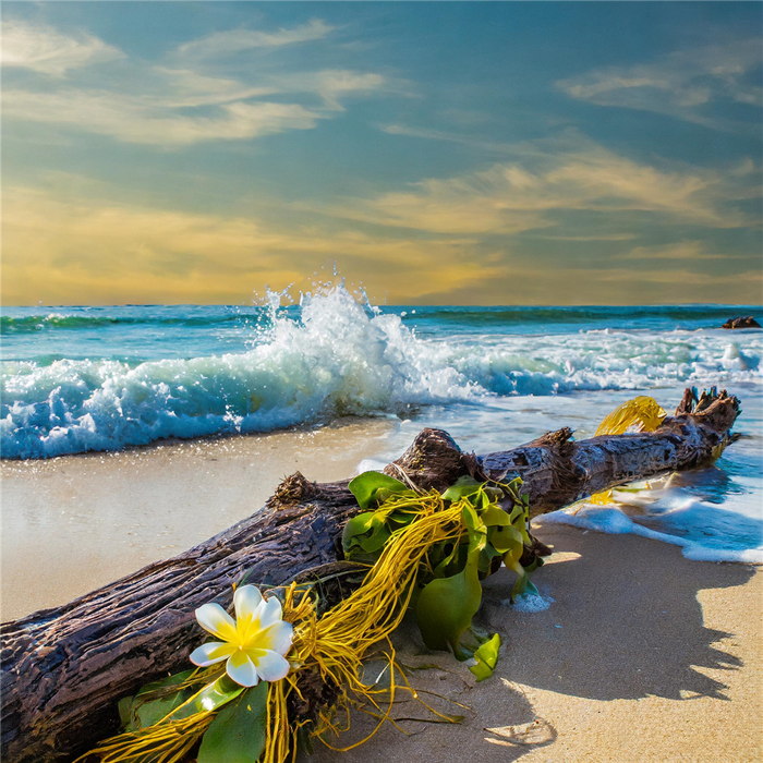 Salty Sea Air Fragrance Oil 16080