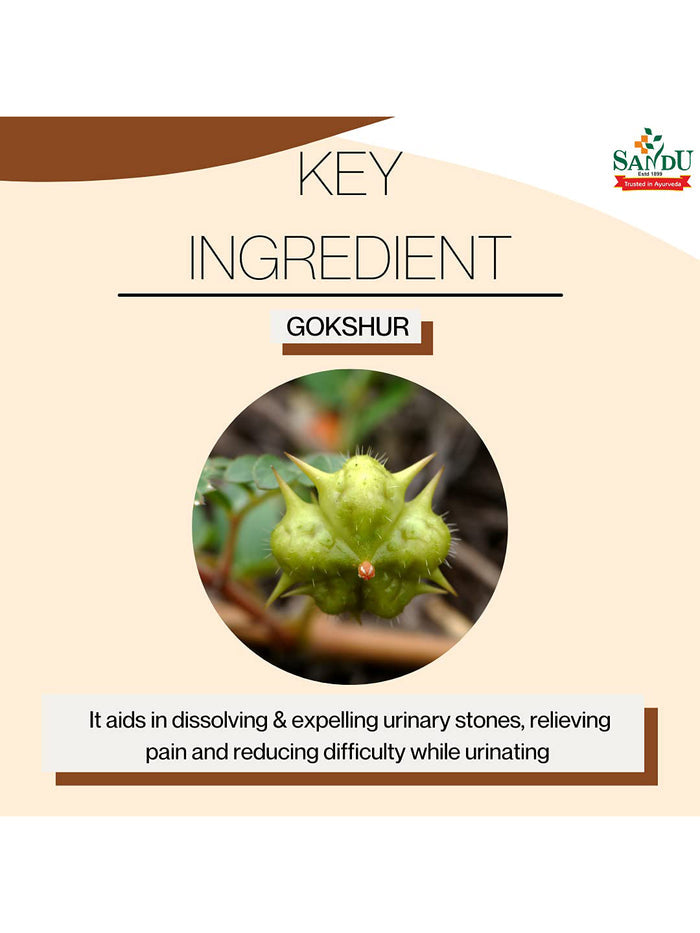 Sandu Gokshur Kadha Liquid (450 ml)