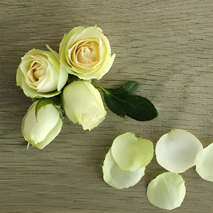 Irishka Cream Rose Bunch