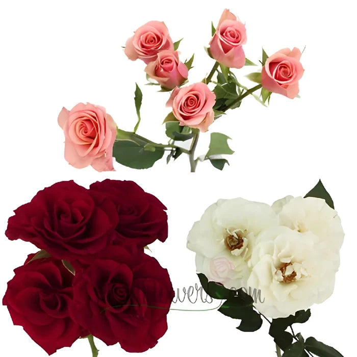 Valentine's Petite Spray Rose Mix