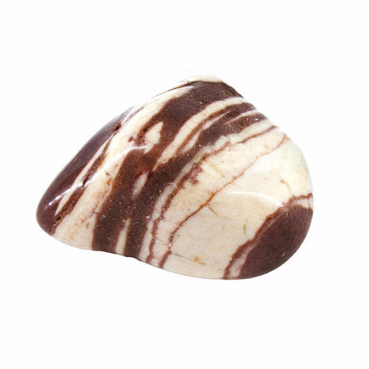 Zebra Jasper Tumbled